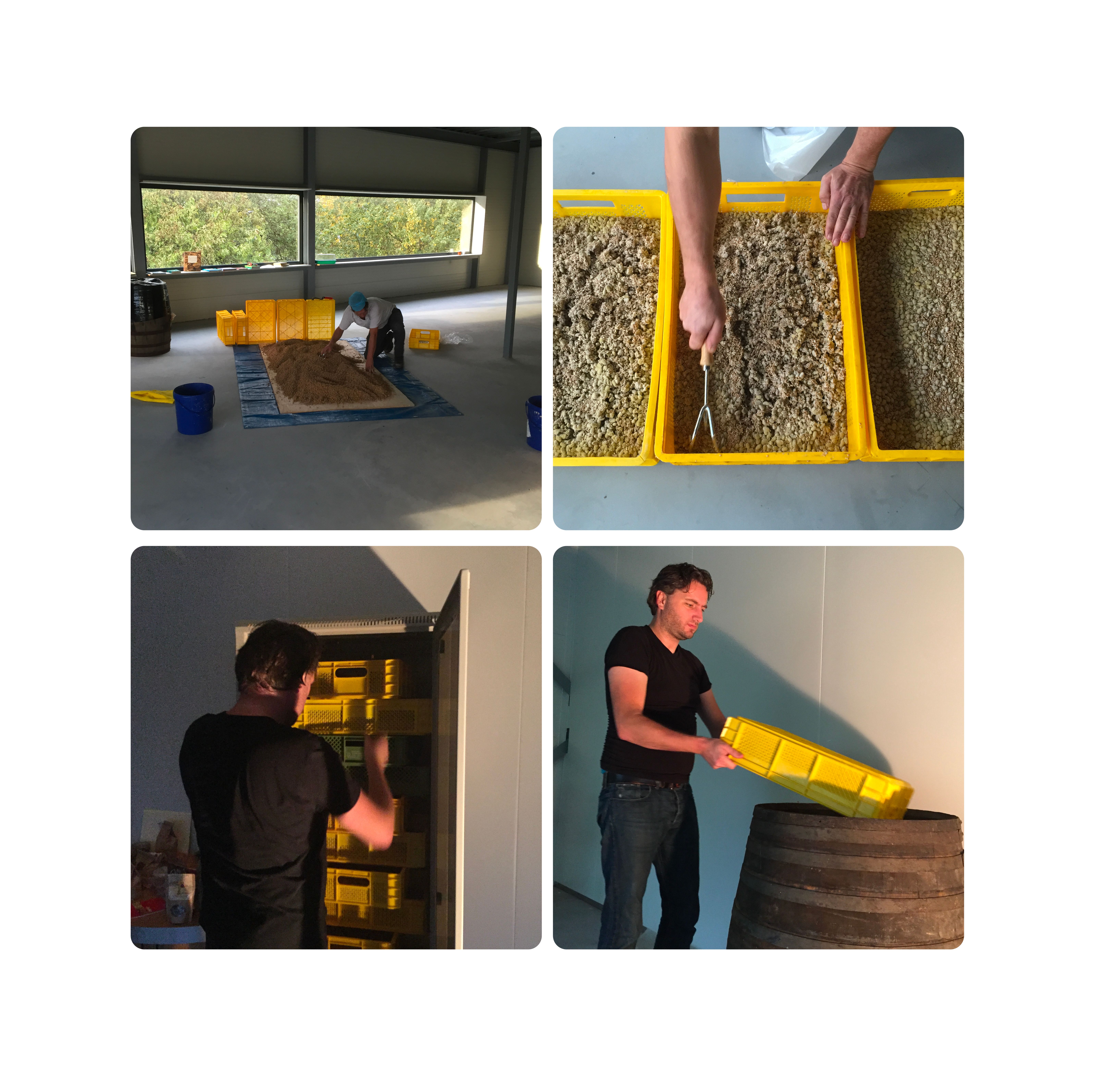 First time making Koji & filling barrel 1 - 2015